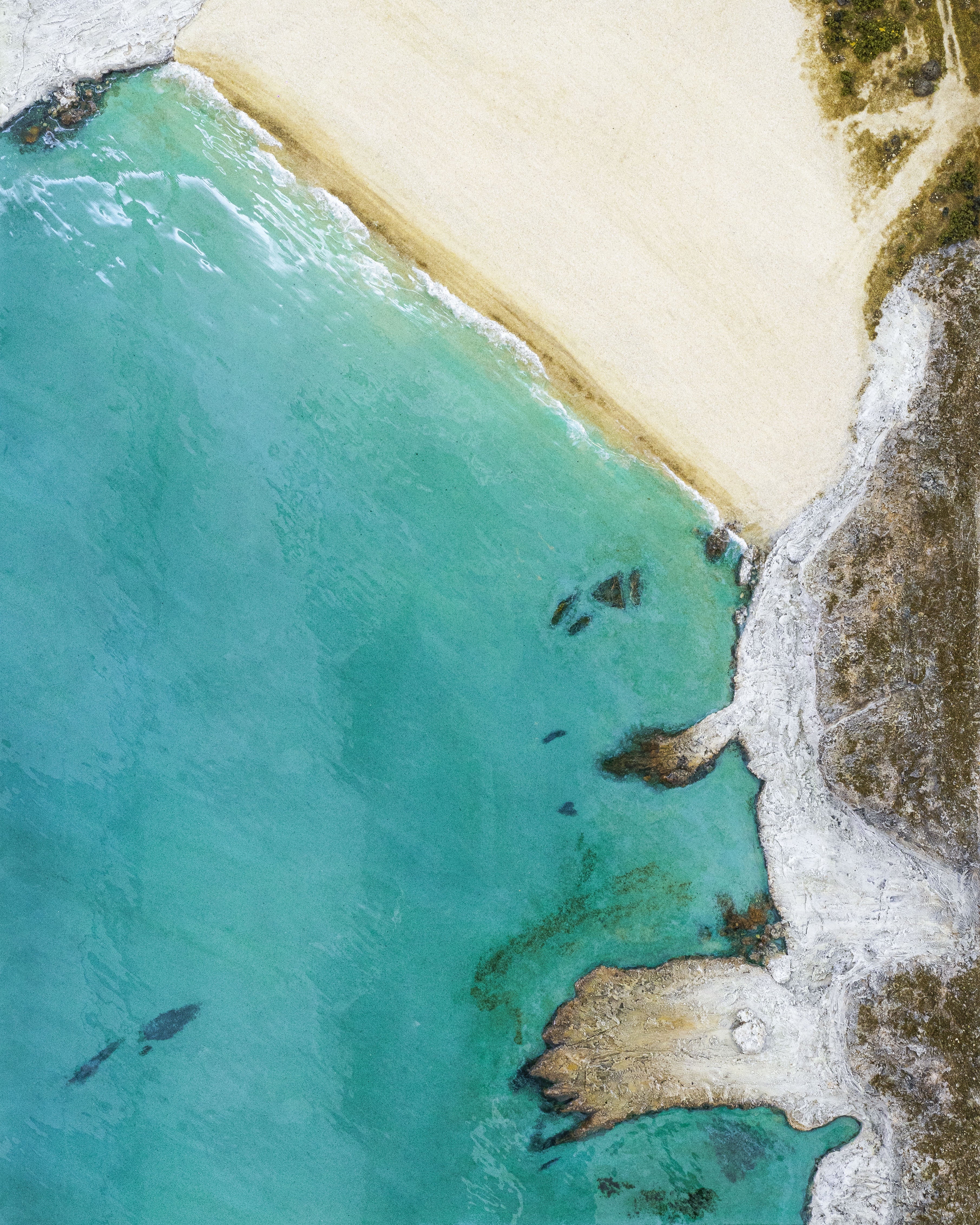 LÁMINA CALA DE ENMEDIO